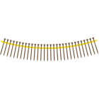 Deck-Drive DSV WOOD Screw (Collated) #10 x 2-1/2 in. T25 6-Lobe, Tan (500-Qty) Image 1
