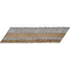 Pro-Fit 2 In. x 0.113 In. 30 Degree Paper Tape Ring Shank Clipped Head Hot Dipped Galvanized Framing Stick Nails (2000 Ct.) Image 1