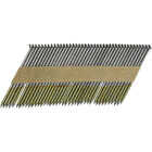 Pro-Fit 2-3/8 In. x 0.113 In. 30 Degree Paper Tape Smooth Shank Clipped Head Hot Dipped Galvanized Framing Stick Nails (2000 Ct.) Image 1