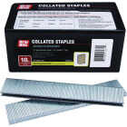 Grip-Rite 1/4 In. x 1 In. 18 ga Electrogalvanized L-Style Collated Narrow Crown Staple (4000-Count) Image 1