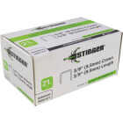 Stinger 3/8 In. A-11 Galvanized Hammer Tacker Staple (5000-Count) Image 1