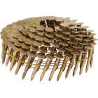 Stinger 1-1/4 In. x 0.120 In. 15 Degree Wire Weld Electro Galvanized Coil Roofing Nail (600 Ct.) Image 1