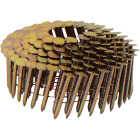 Stinger 1-1/4 In. x 0.120 In. Wire Weld Electro Galvanized Coil Roofing Nail (7200 Ct.) Image 2