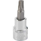 Channellock 3/8 In. Drive T40 6-Point Torx Bit Socket Image 1