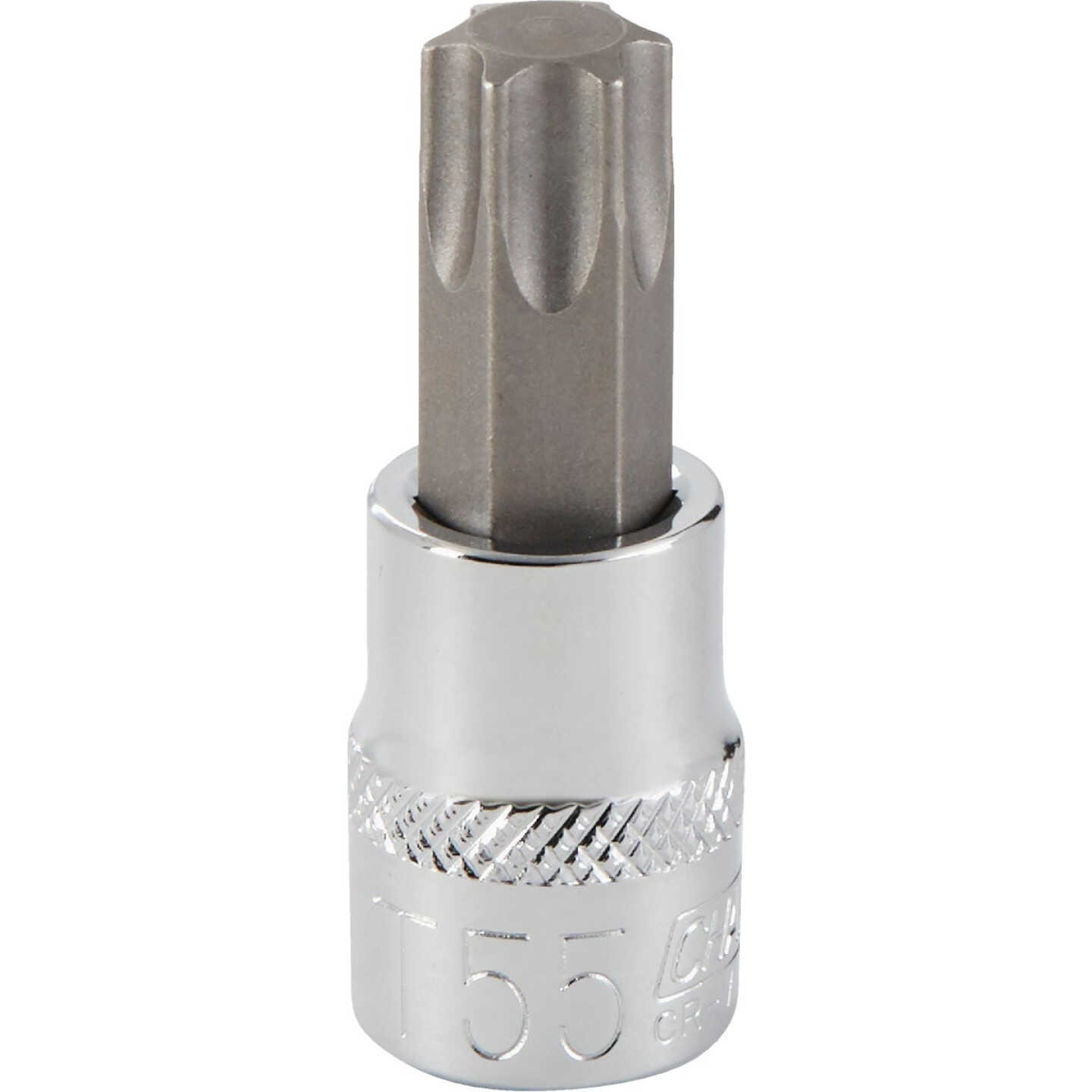 Channellock 3/8 In. Drive T55 6-Point Torx Bit Socket Image 1