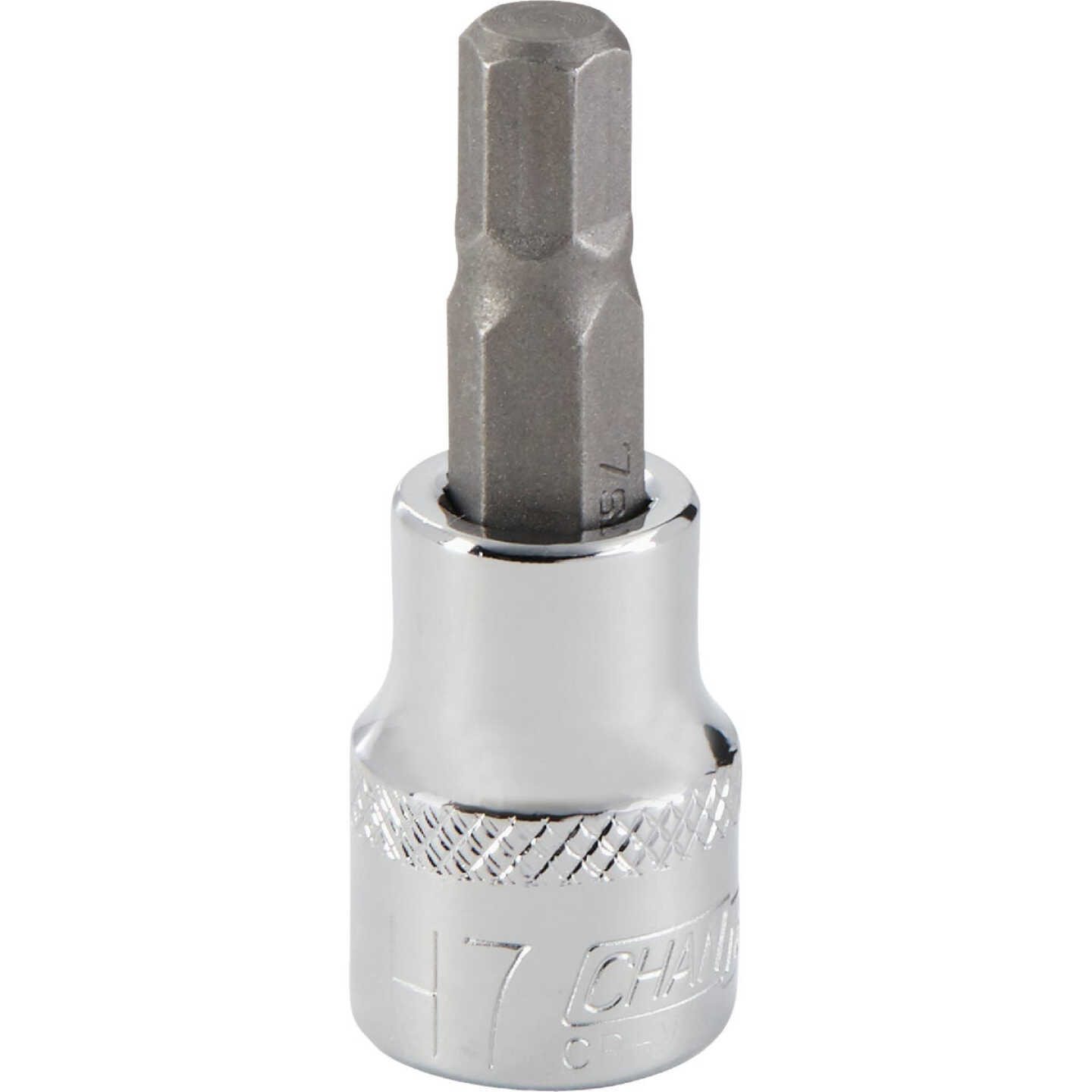 Channellock 3/8 In. Drive 7 mm 6-Point Metric Hex Bit Socket Image 1