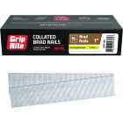 Grip-Rite 1 In. 18 ga Electrogalvanized Collated Brad Nail (5000-Count) Image 1