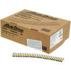 DWC Drywall Screw (Collated) #6 x 1-5/8 in. #2 Phillips Bugle-Head (2500-Qty) Image 1
