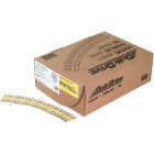 Strong-Drive WSV SUBFLOOR Screw (Collated) #9 x 2 in. T25, Yellow Zinc (2000-Qty) Image 1