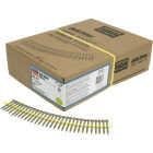 Deck-Drive DSV WOOD Screw (Collated) #10 x 2 in. T25 6-Lobe, Tan (1500-Qty) Image 1