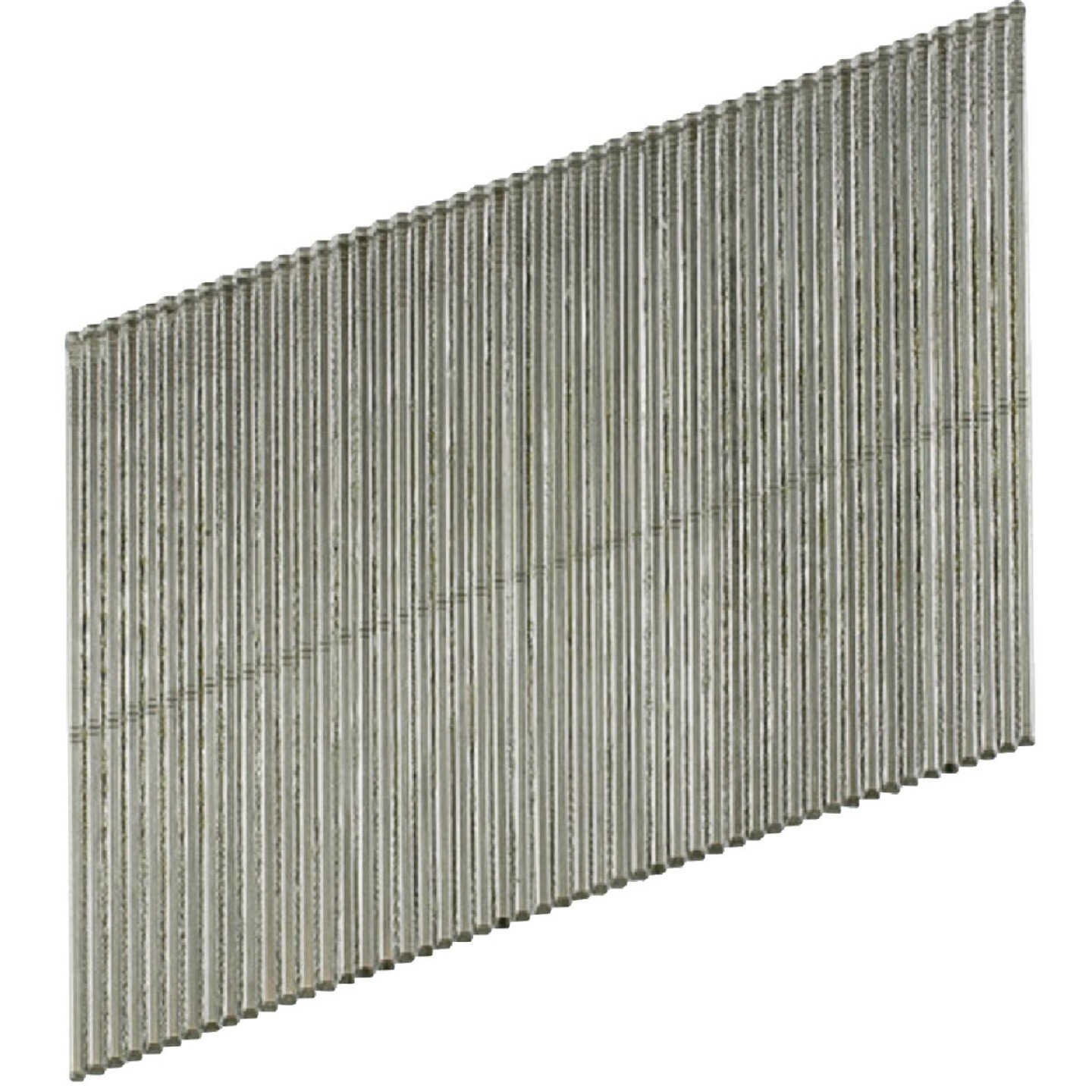 20 Angle, Adhesive Collation, T-Style Head, 16-Gauge Finishing Nail 2 in. Type 316 (500-Qty) Image 1