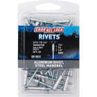 Channellock 3/16 In. to 1/4 In. Dia. x 0.251 In. to 0.500 In. Grip Aluminum Multigrip POP Rivet (40-Pack) Image 1
