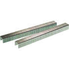 Senco 7/16 In. x 3/8 In. 20-Gauge Galvanized Fine Wire Hammer Tacker Staples (1000 Ct.) Image 1