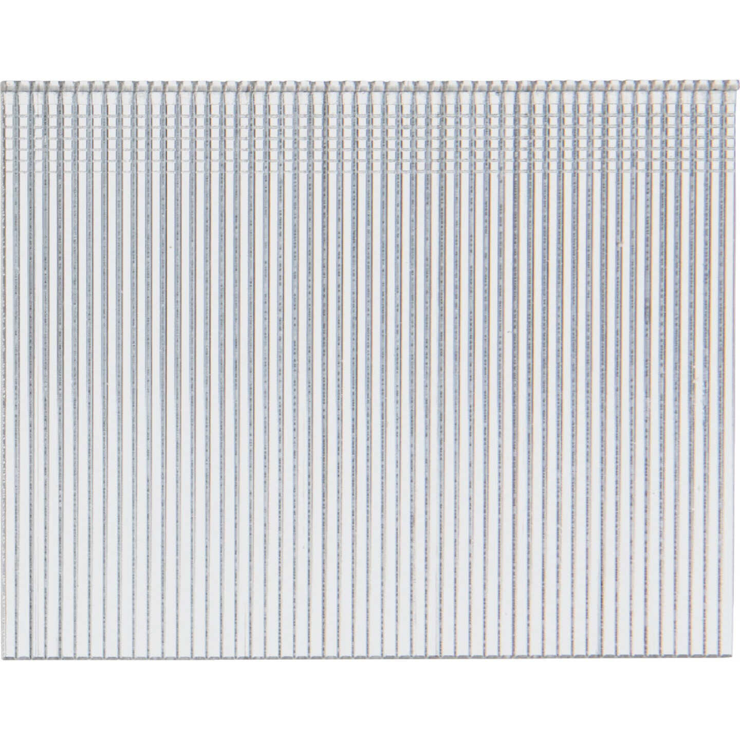 Pro-Fit 2-1/2 In. In. 16 Gauge Electro Galvanized Straight Finish Nail (2500 Ct.) Image 1