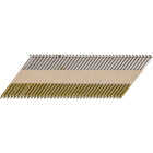 Pro-Fit 2-3/8 In. x 0.113 In. 30 Degree Paper Tape Ring Shank Clipped Head Stainles Steel Framing Stick Nails (1000 Ct.) Image 1