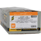 Pro-Fit 2-3/8 In. x 0.113 In. 30 Degree Paper Tape Ring Shank Clipped Head Stainles Steel Framing Stick Nails (1000 Ct.) Image 2