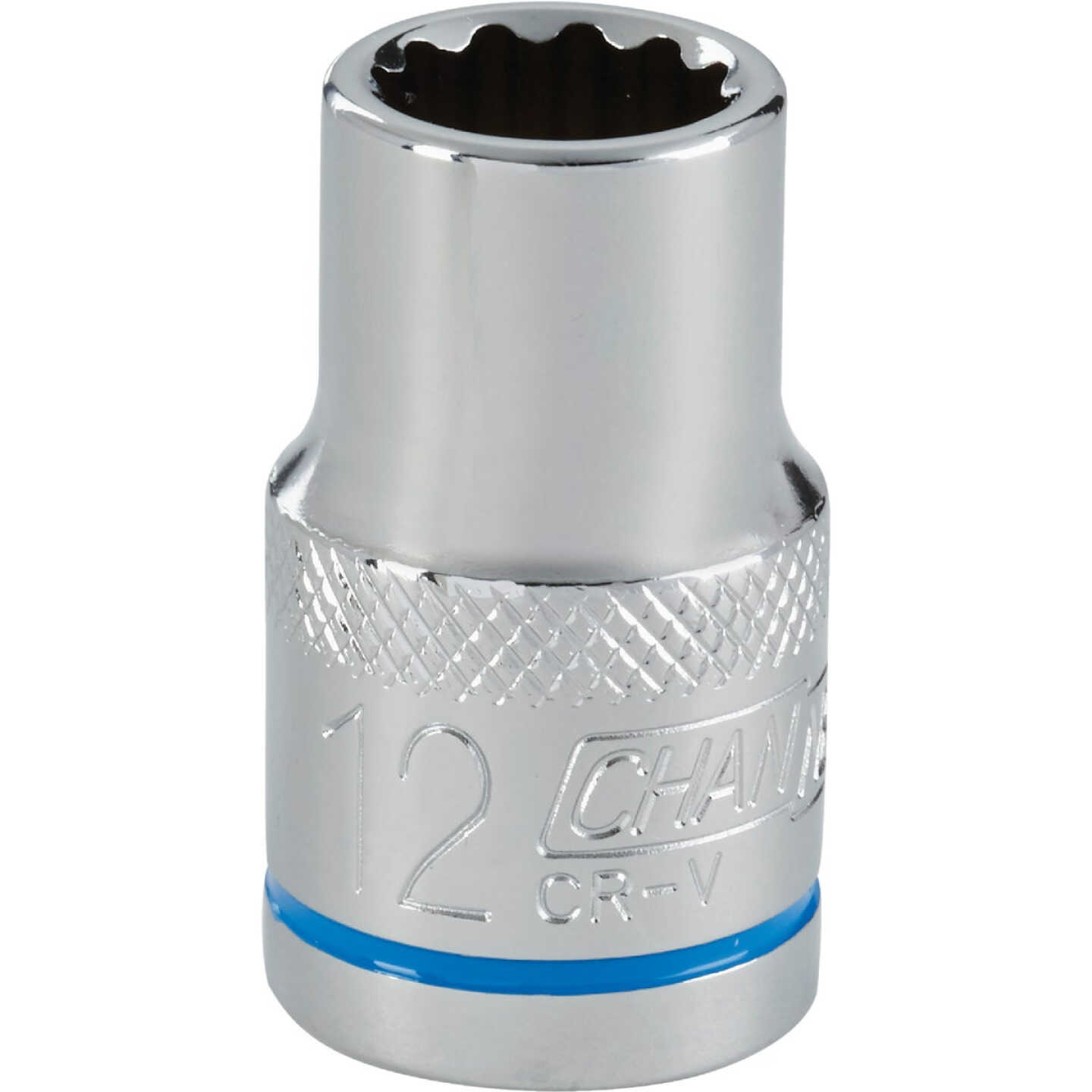 Channellock 1/2 In. Drive 12 mm 12-Point Shallow Metric Socket Image 1