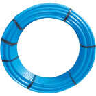 1X300 IPS BLU FLX PIPE Image 1