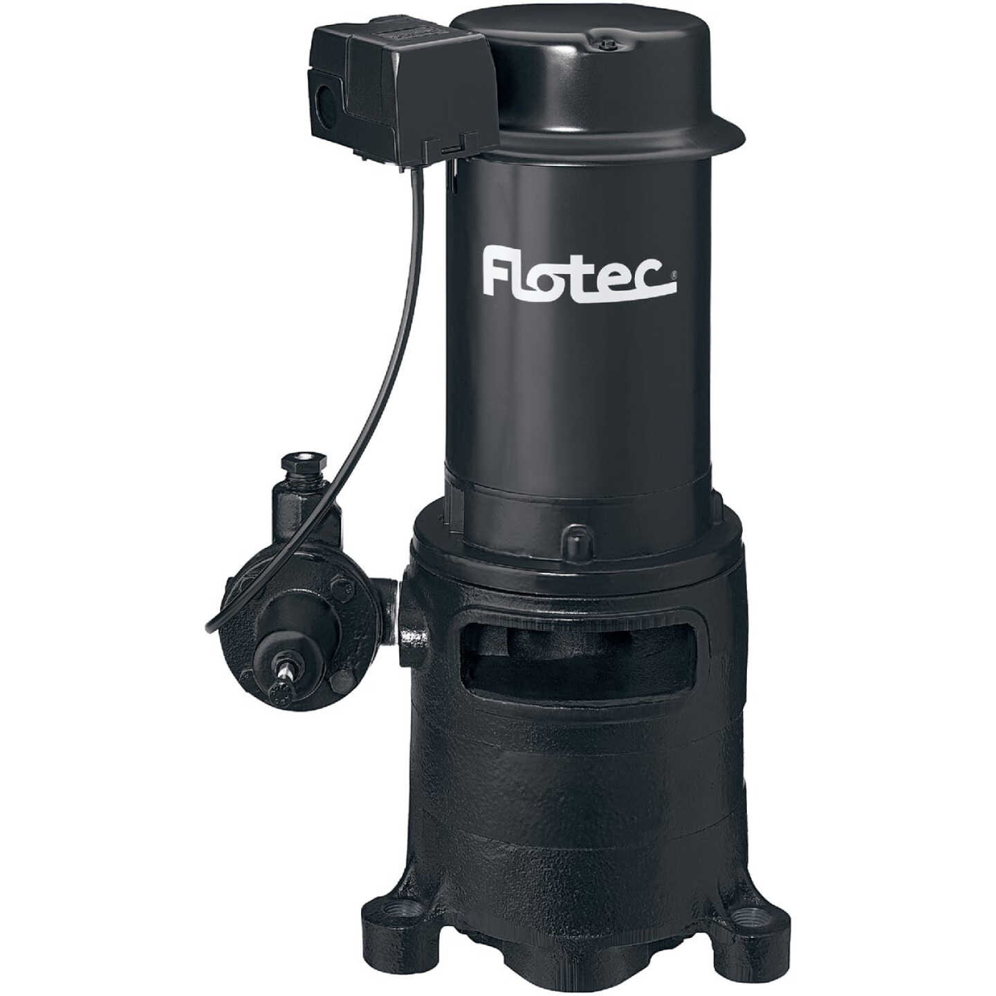 Flotec 1 HP Cast Iron Vertical Deep Water Well Jet Pump Image 1