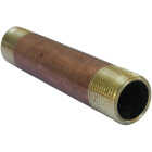 Lasco 3/4 In. x 5 In. Red Brass Nipple Image 1