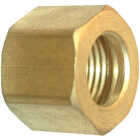 Lasco 1/8 In. Brass Compression Nut (2-Pack) Image 1