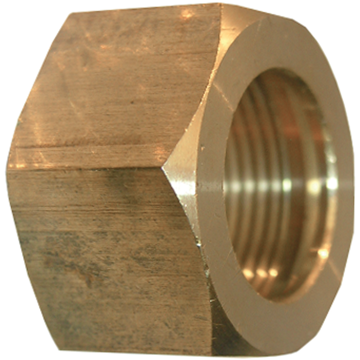 Lasco 5/16 In. Compression Nut and Sleeve Image 1