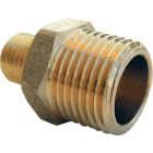 Lasco 1/2 In. MPT x 1/4 In. MPT Brass Hex Nipple Image 1