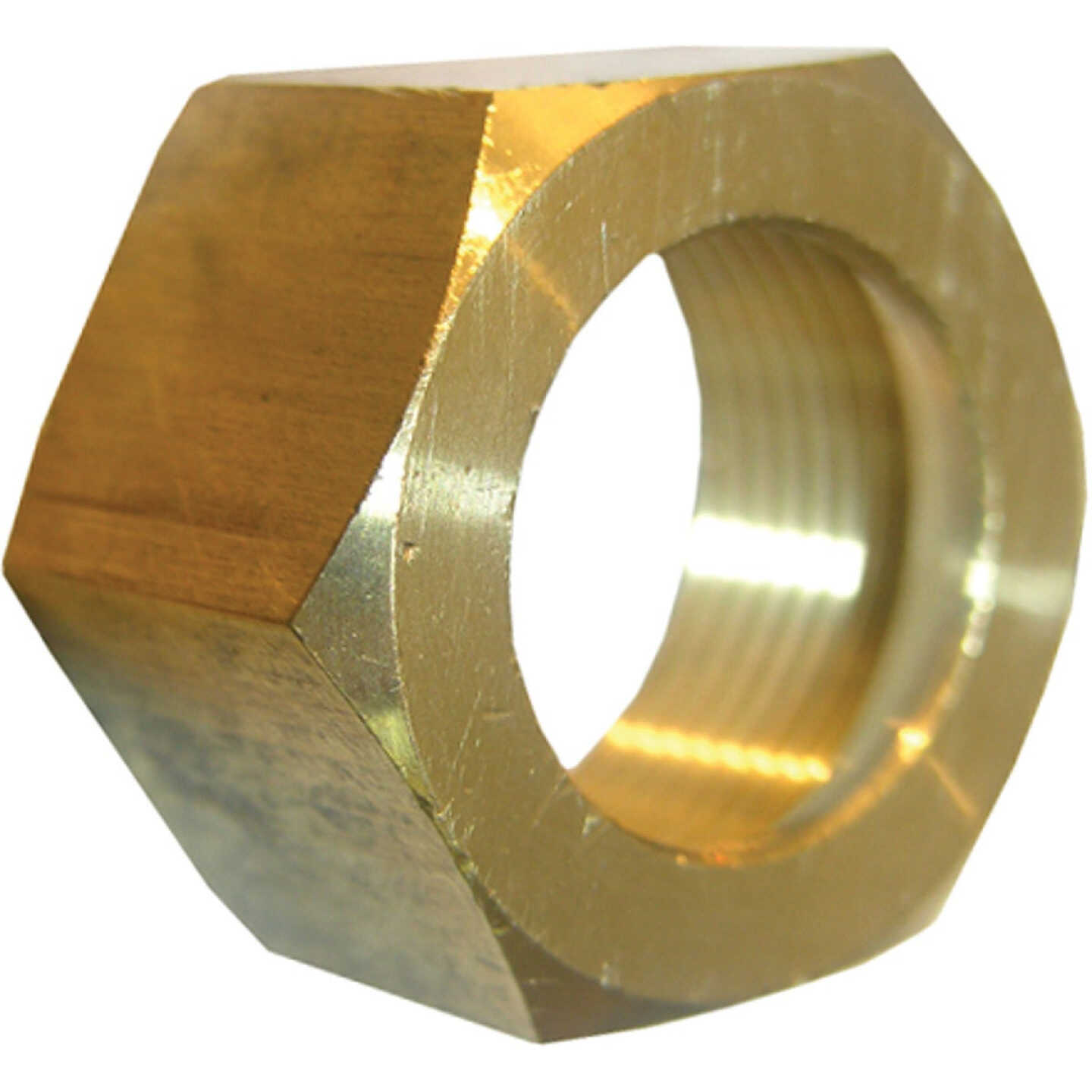 Lasco 5/8 In. Brass Compression Nut (2-Pack) Image 1