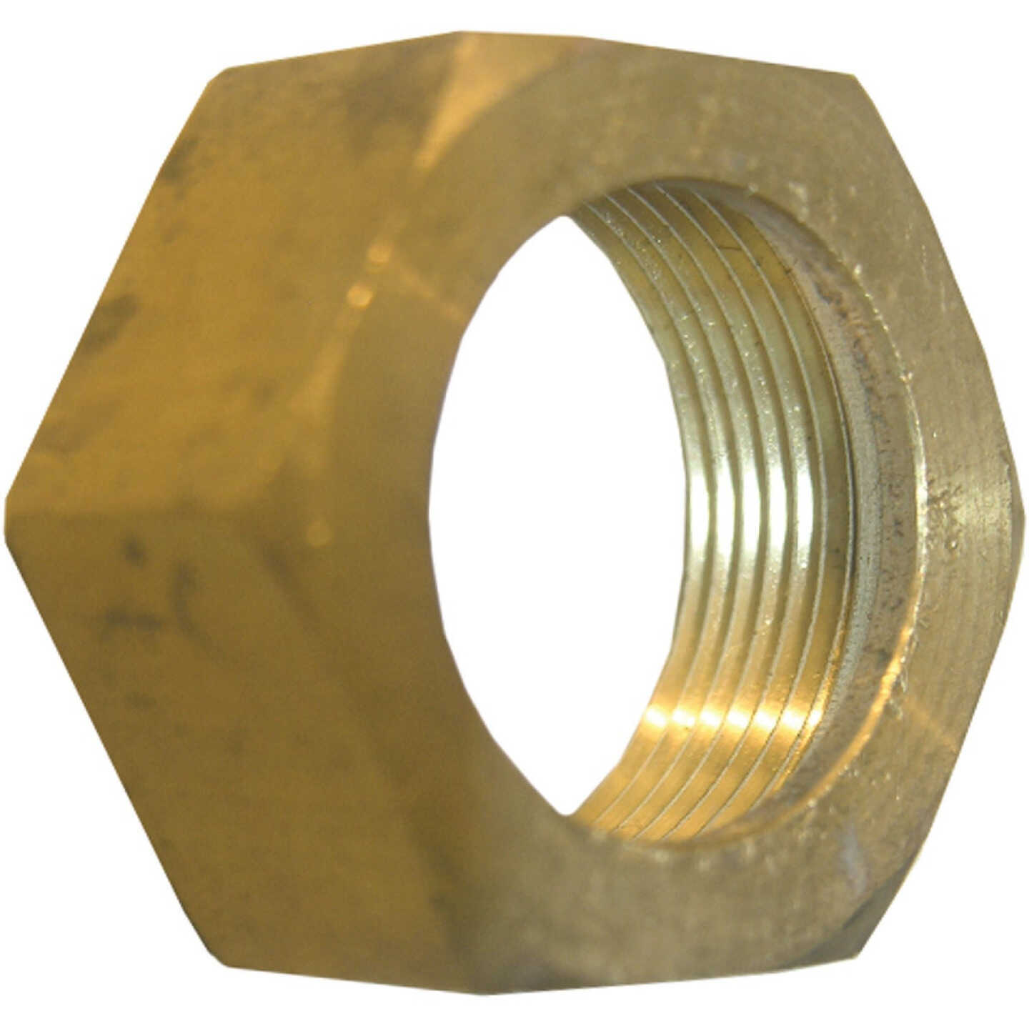 Lasco 7/8 In. Brass Compression Nut Image 1