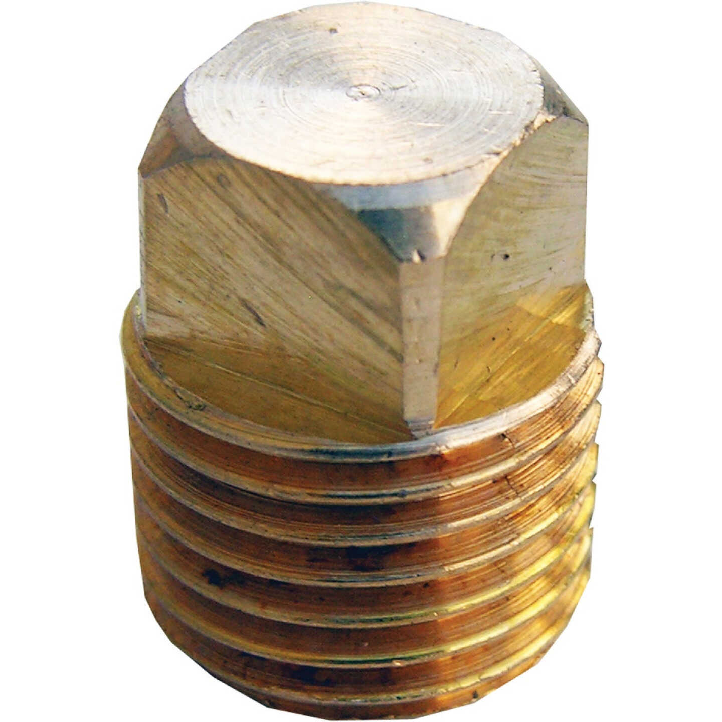 Lasco 1/4 In. MPT Brass Square Head Plug Image 1