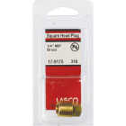 Lasco 1/4 In. MPT Brass Square Head Plug Image 2