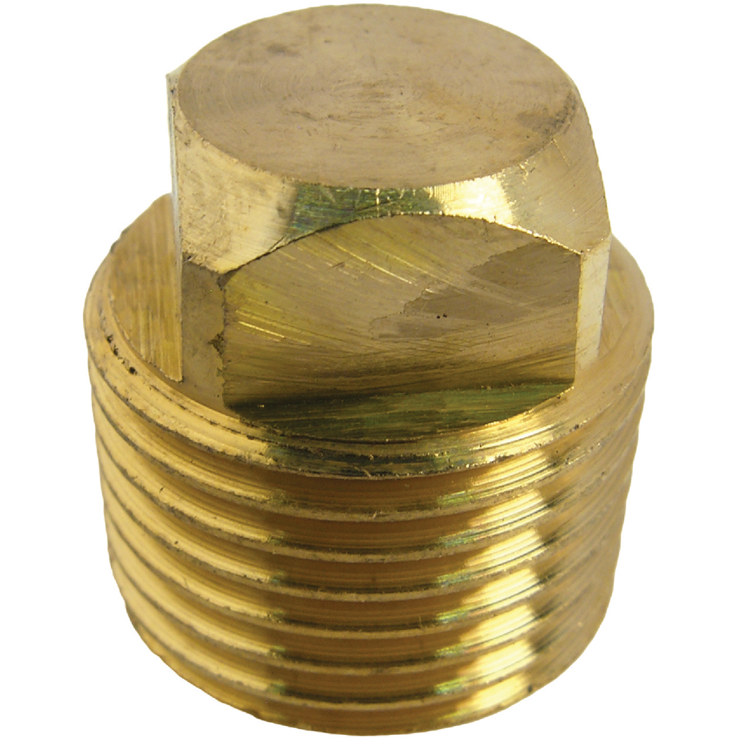 Lasco 1/2 In. MPT Brass Square Head Plug Image 1