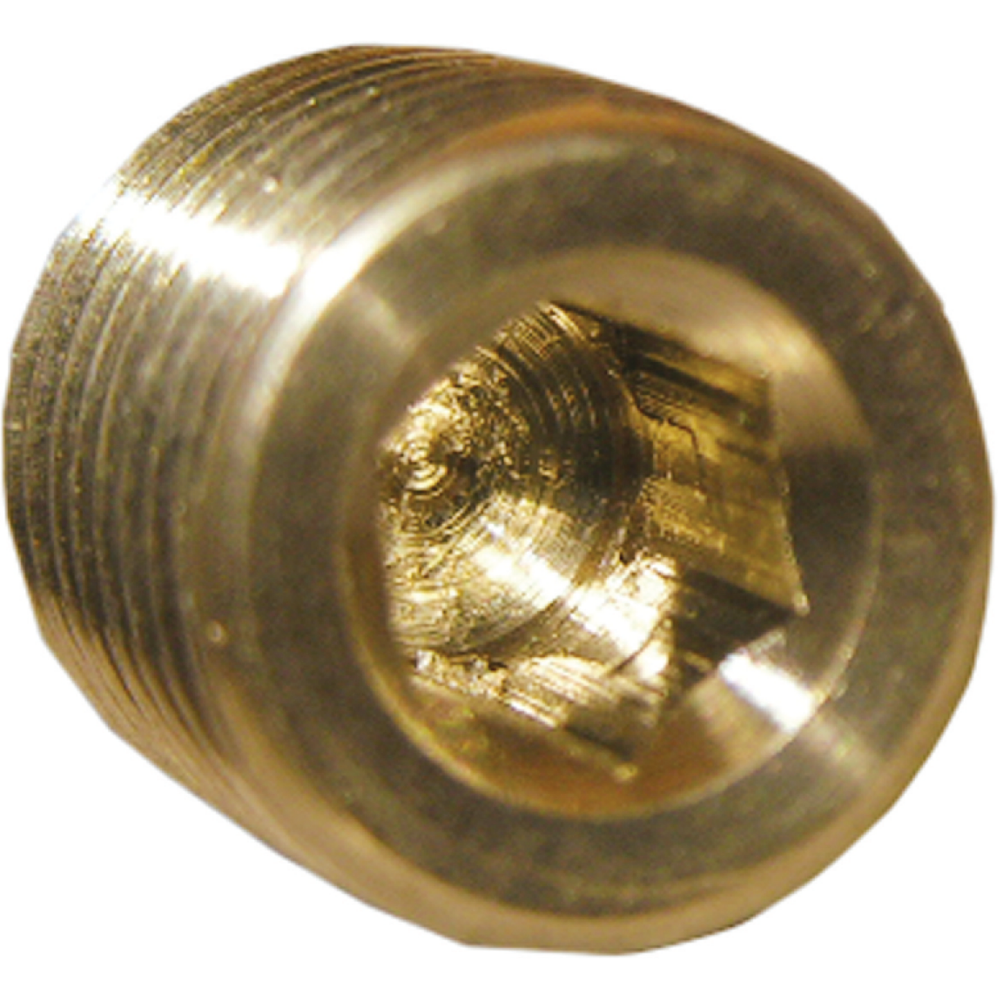 Lasco 1/8 In. MPT Brass Countersunk Plug Image 1