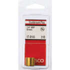 Lasco 1/4 In. MPT Brass Countersunk Plug Image 2