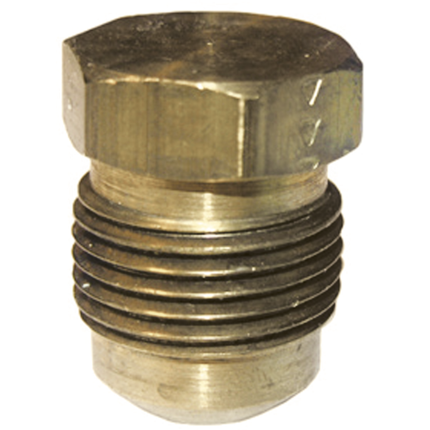 Lasco 1/4 In. Brass Flare Plug Image 1