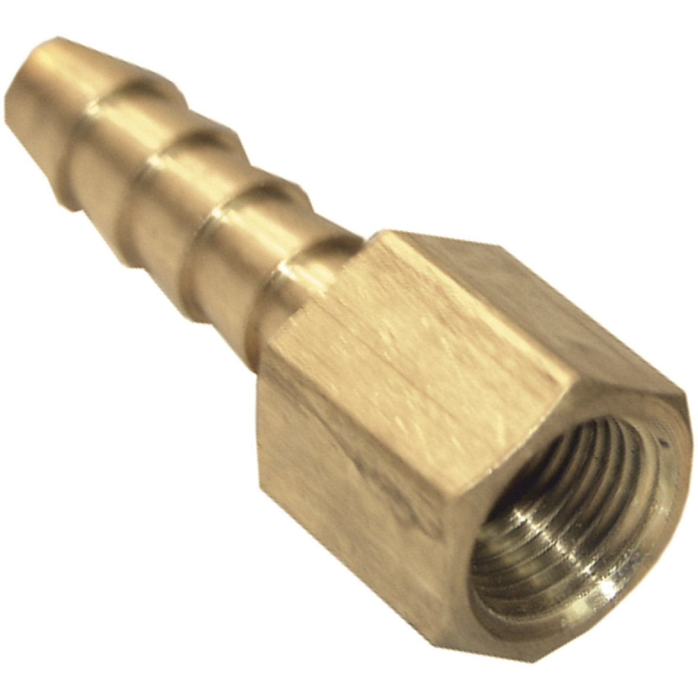 Lasco 1/8 In. FPT X 1/8 In. Brass Hose Barb Adapter Image 1