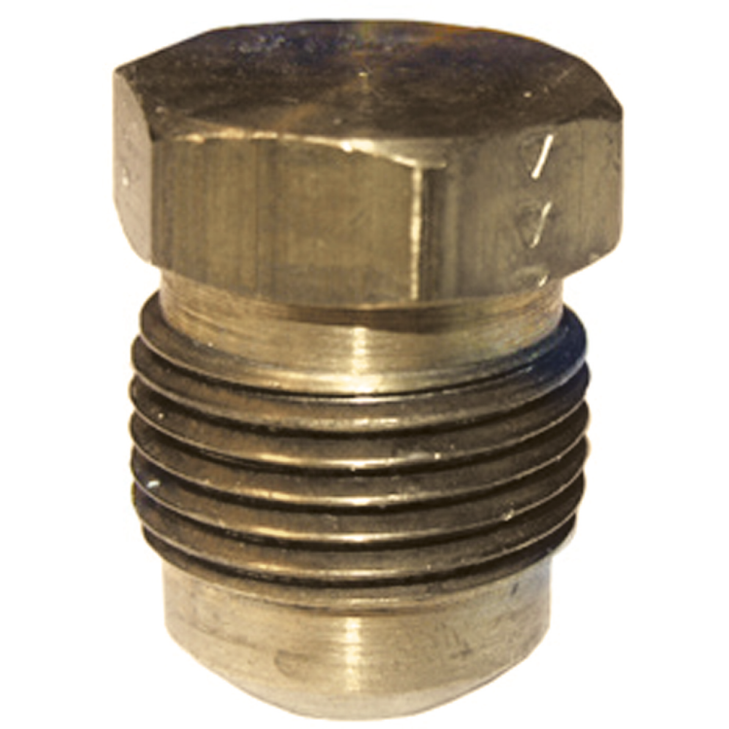 Lasco 5/16 In. Brass Flare Plug Image 1
