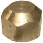 Lasco 3/8 In. Brass Flare Cap Image 1