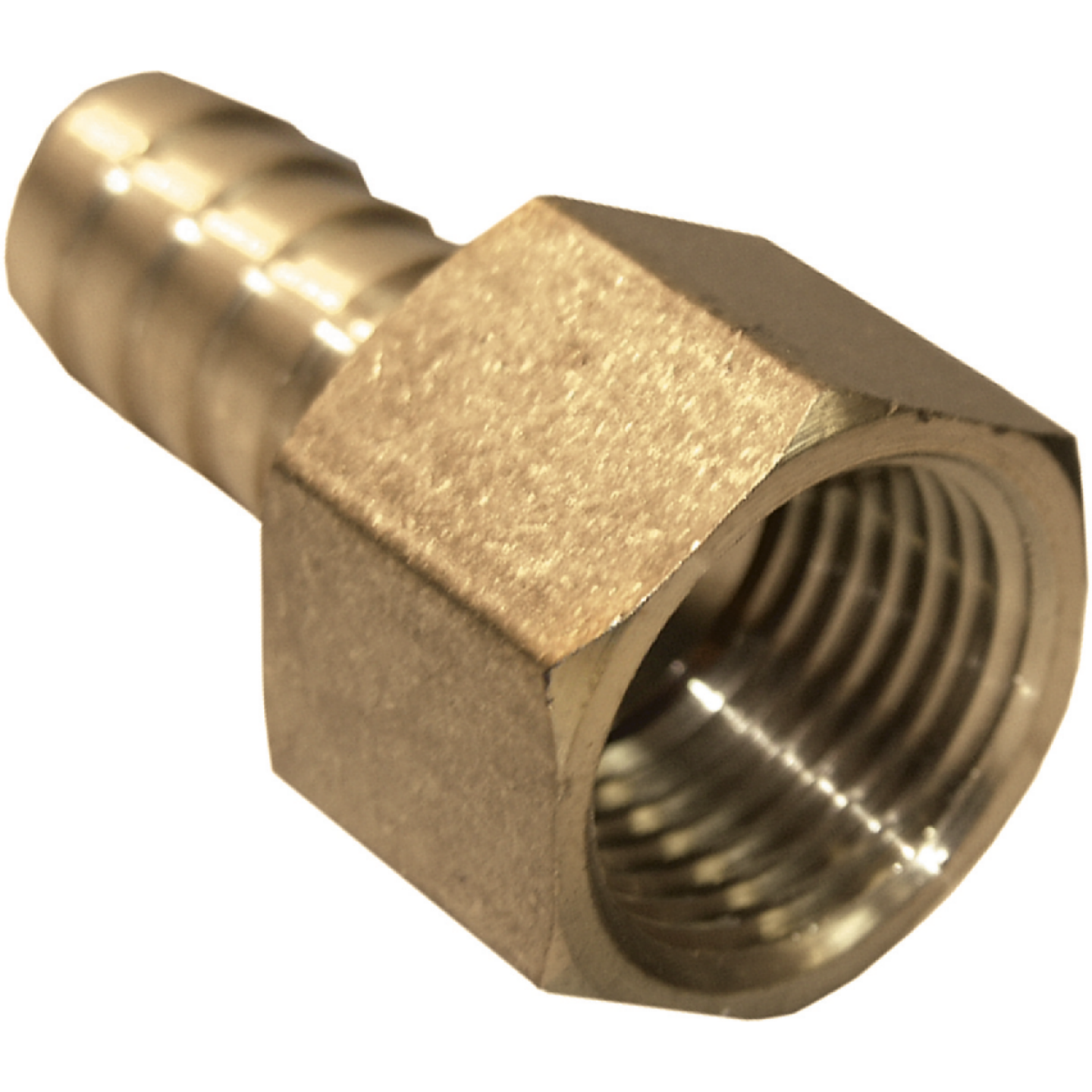 Lasco 1/2 In. FPT x 1/2 In. Brass Hose Barb Adapter Image 1