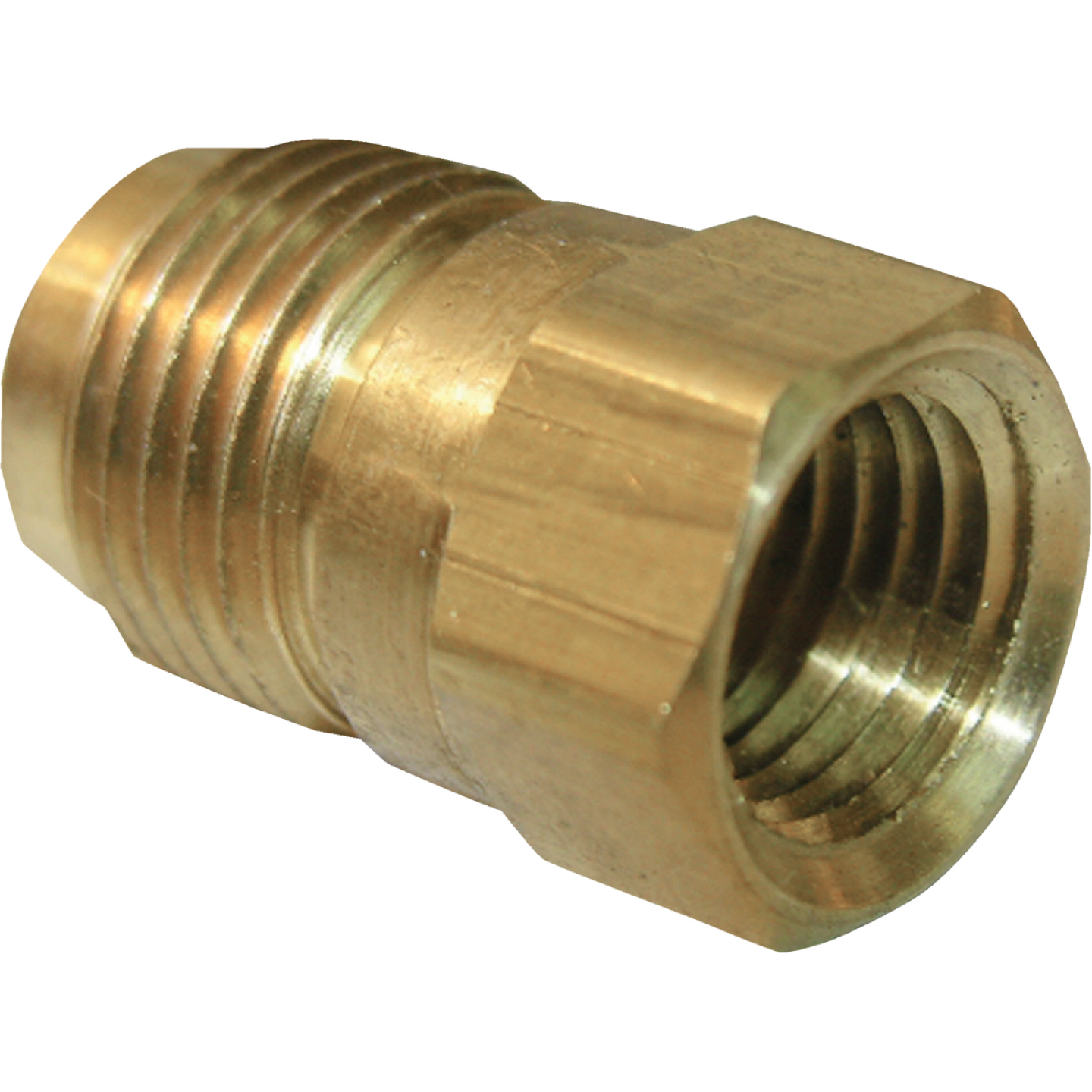 Lasco 3/8 In. M x 1/4 In. FPT Brass Flare Adapter Image 1