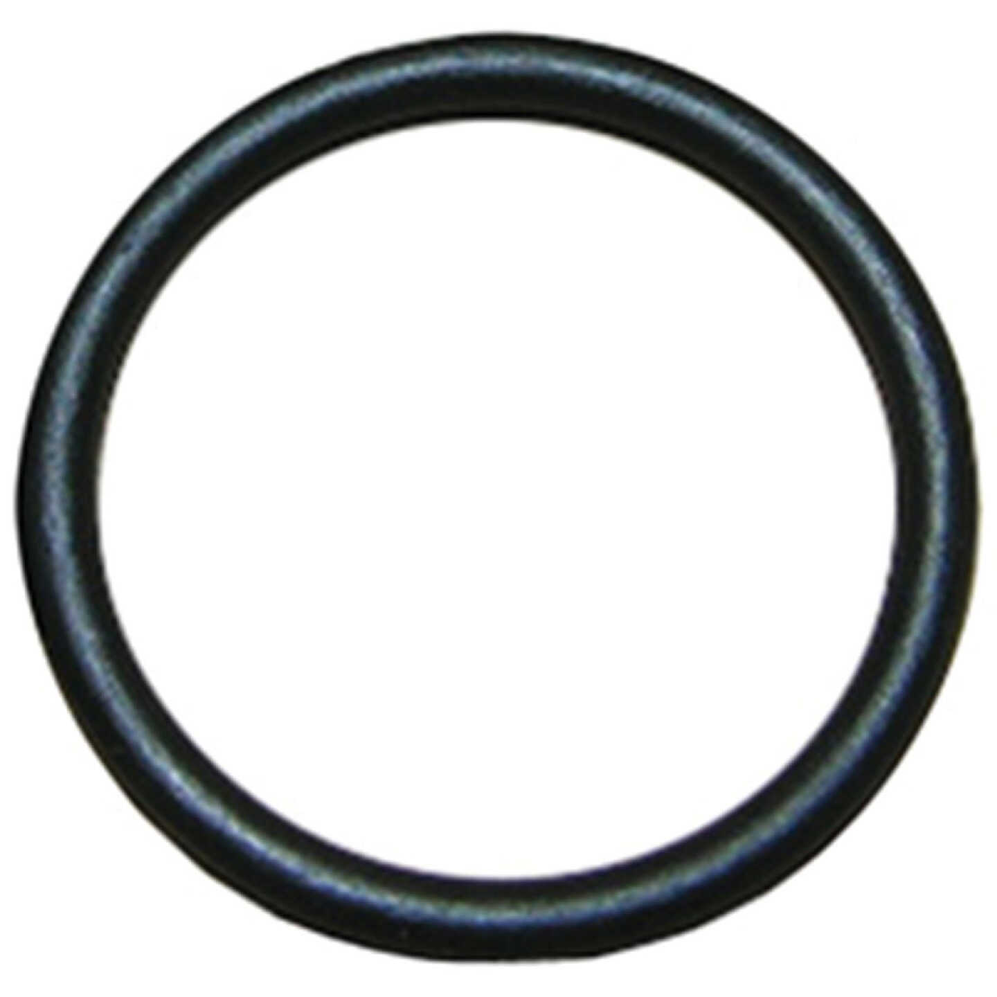 Lasco #44 13/16 In. x 1 In. O-Ring Image 1