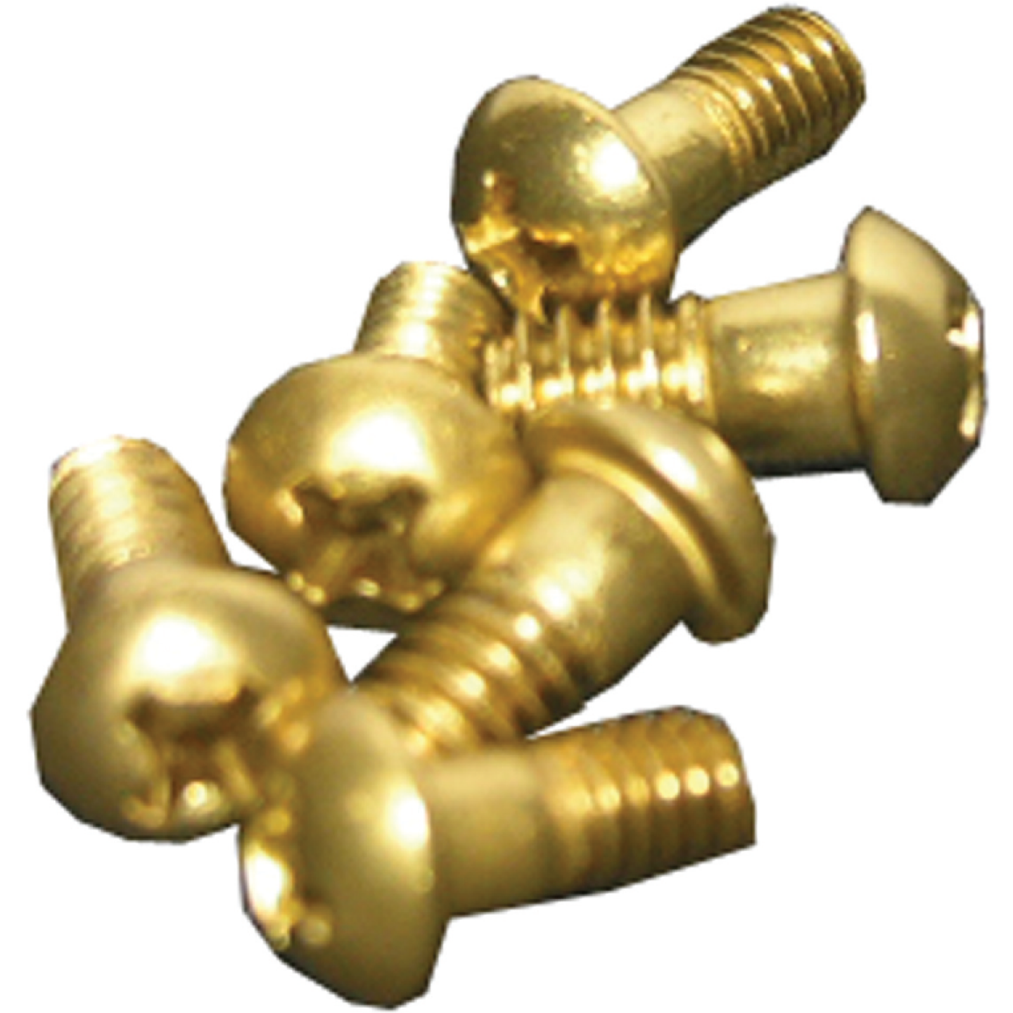 Lasco Round Head Faucet Screw Assortment (6-Pack) Image 1