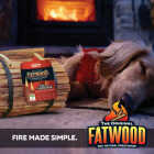 Fatwood 4 Lb. Bundled Fire Starter Image 7