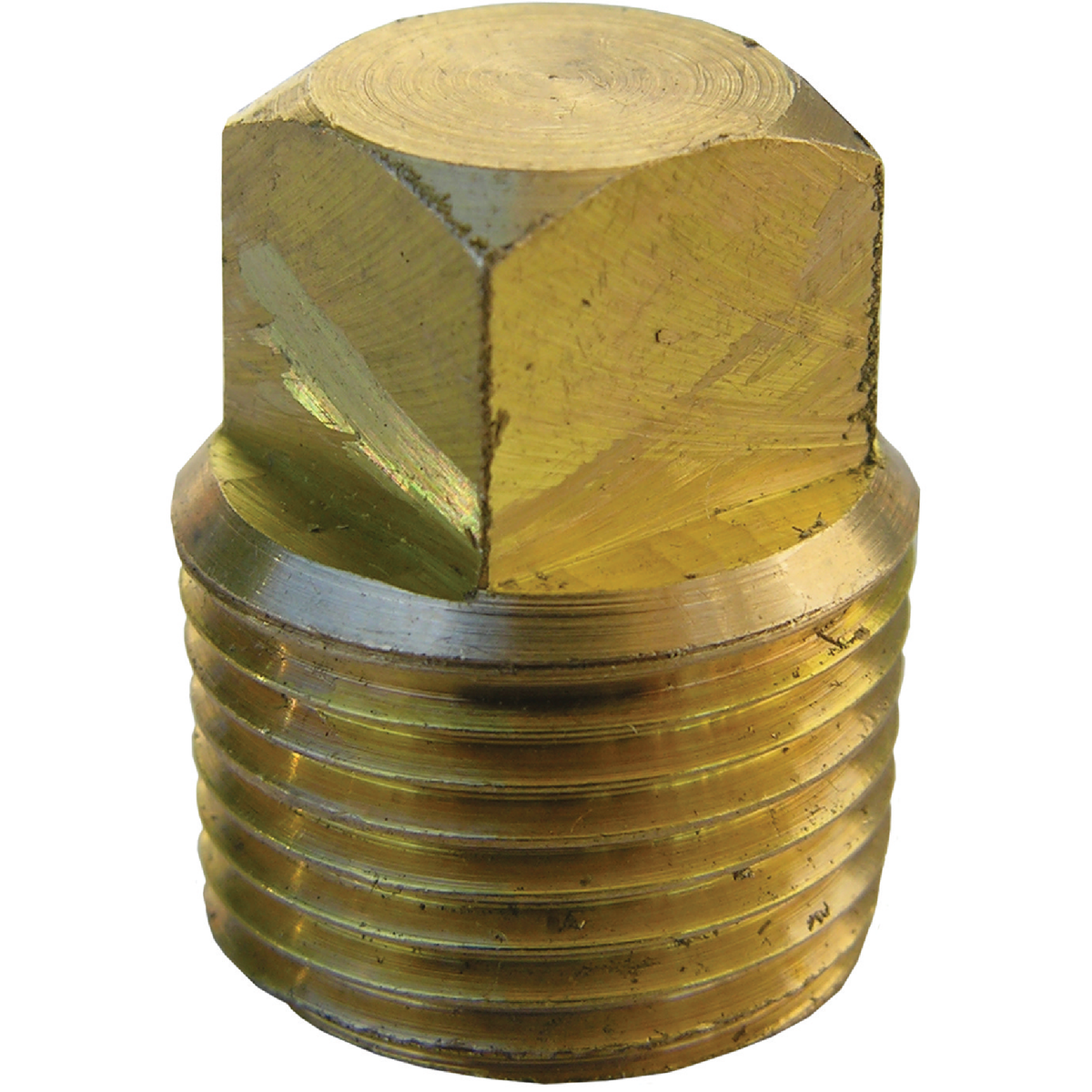 Lasco 3/8 In. MPT Brass Square Head Plug Image 1