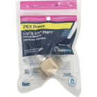 SharkBite 1/2 In. x 3/4 In. FNPT PEX Press Brass Adapter Image 2