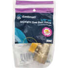 Eastman 3/8 In. OD Male Flare x 1/2 In. FIP Gas Valve Image 2