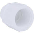 Charlotte Pipe 3/4 In. x 1/2 In. Schedule 40 Female PVC Adapter Image 1