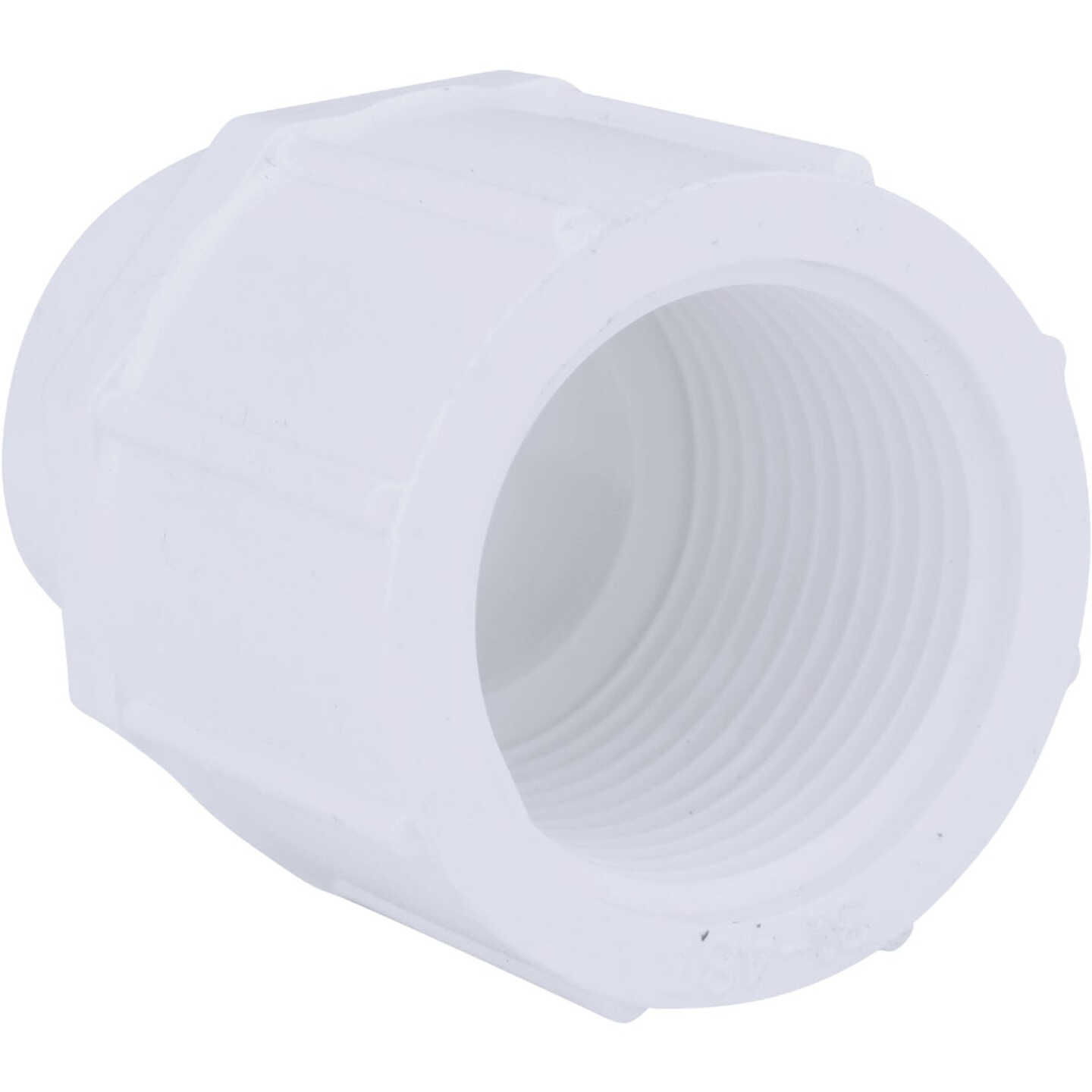 Charlotte Pipe 3/4 In. x 1/2 In. Schedule 40 Female PVC Adapter Image 1