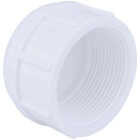 Charlotte Pipe 1-1/2 In. FIP Schedule 40 Threaded PVC Cap Image 1