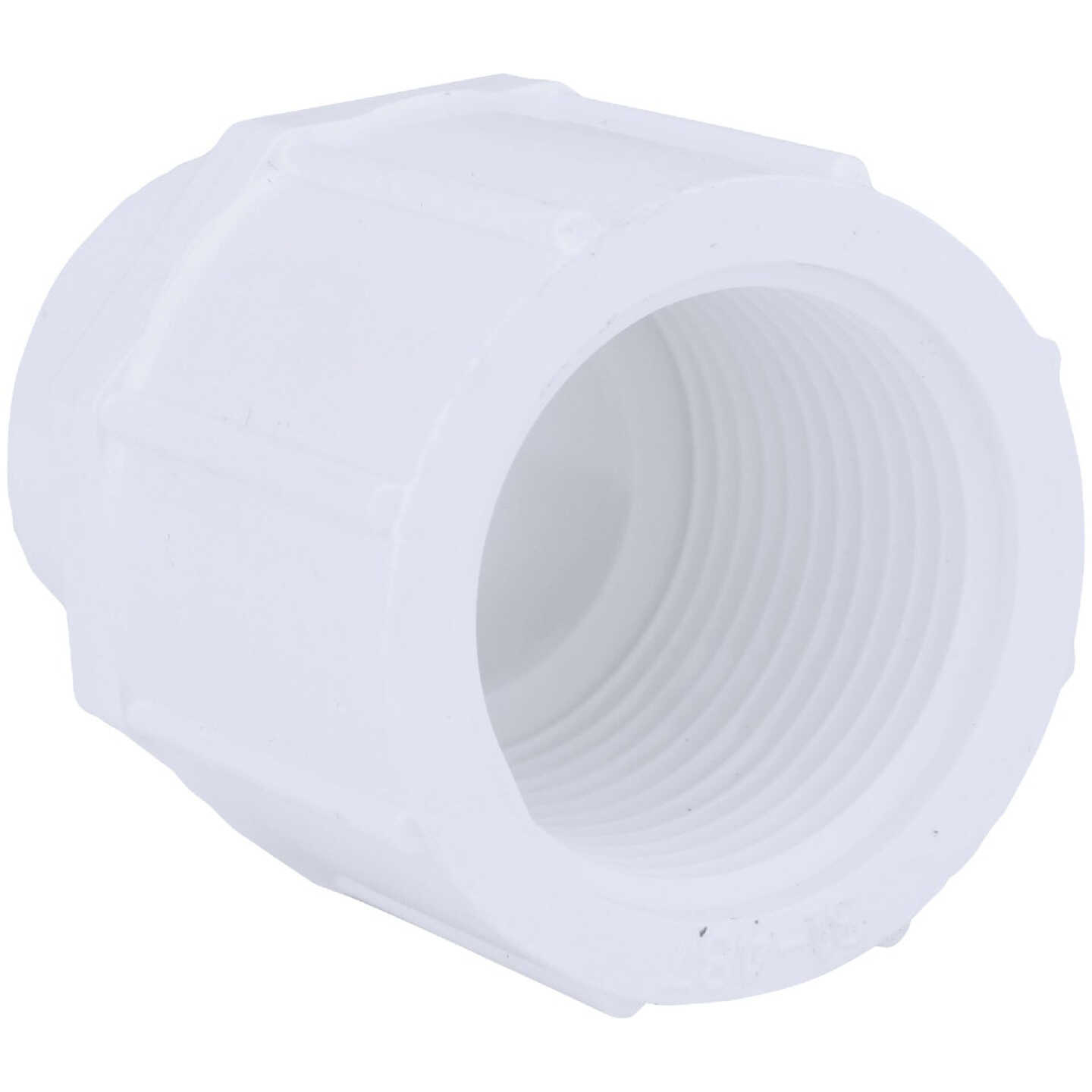 Charlotte Pipe 3/4 In. x 1 In. Schedule 40 Female PVC Adapter Image 1